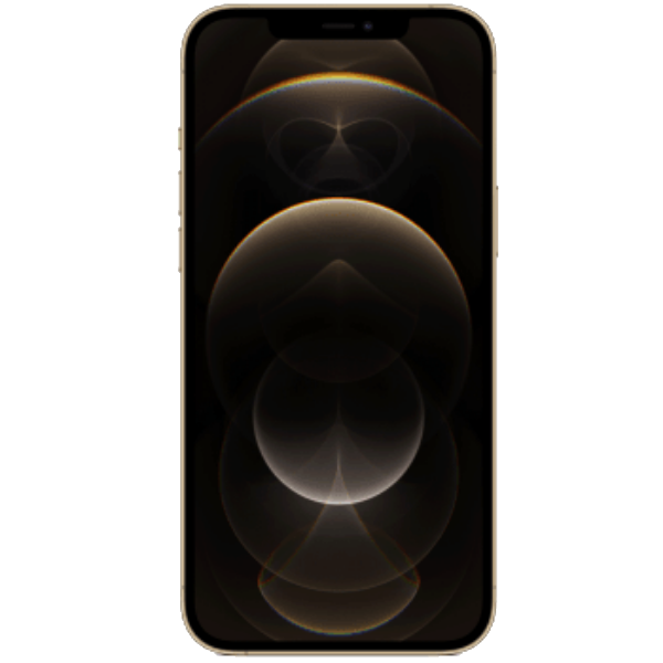 Apple iPhone 12 Pro Max (MGDE3HN/A) with 6 GB RAM, 256 GB storage