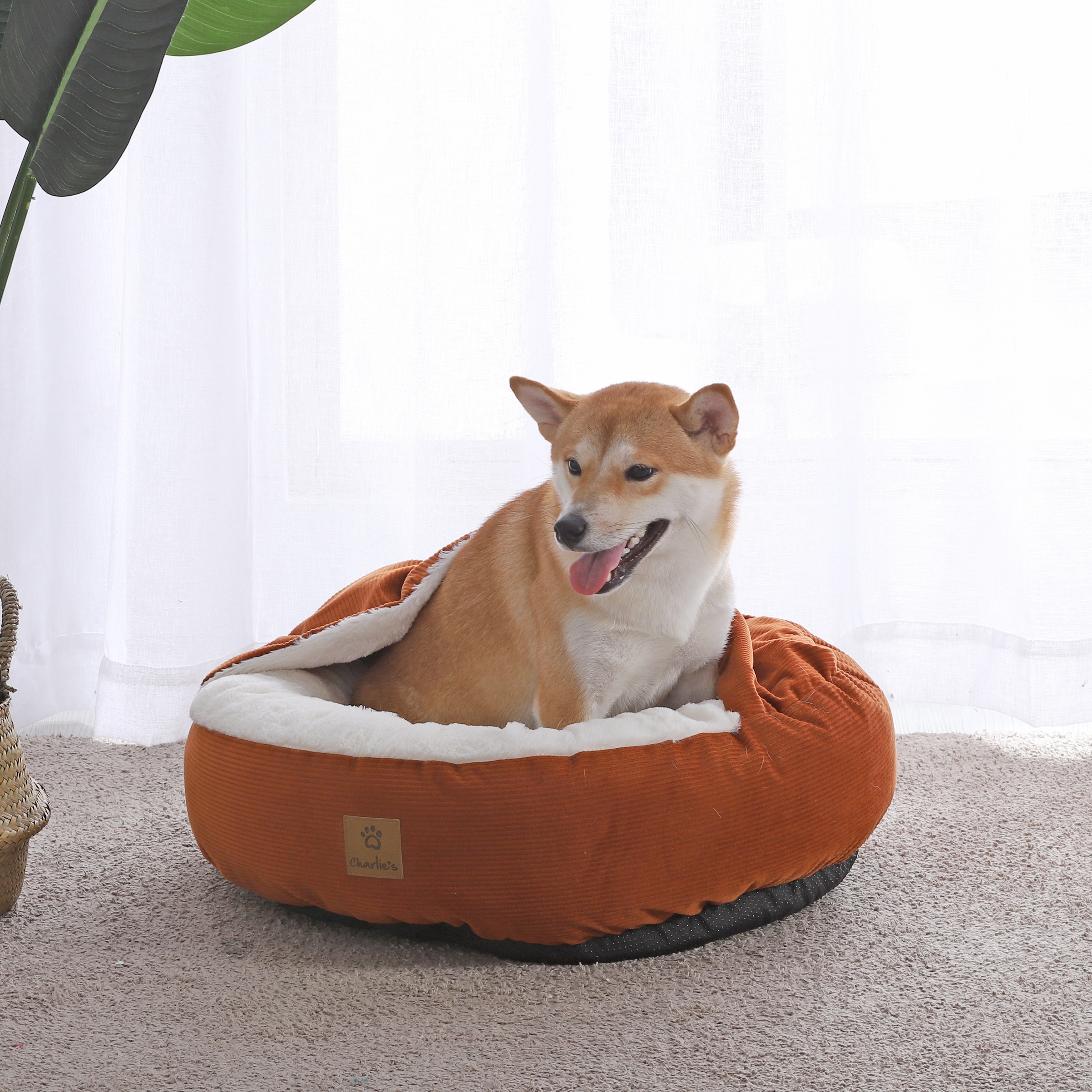 Charlie's Snookie Corncob/Corduroy Hooded Dog Bed Pet Warmer Bed Bolster Nest - Picture 97 of 99